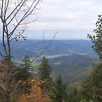 Herzlicht Titisee-Neustadt