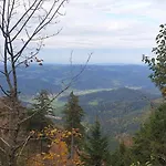 Herzlicht