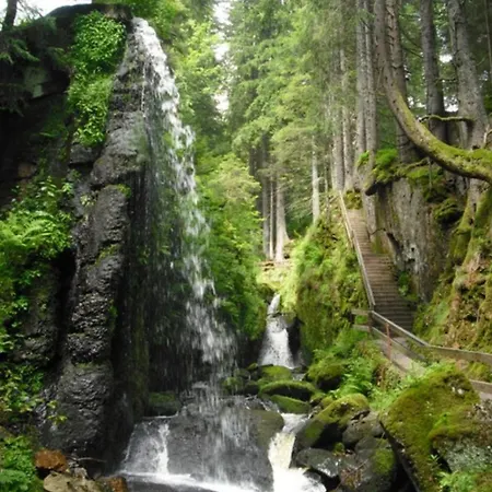 Herzlicht Appartement