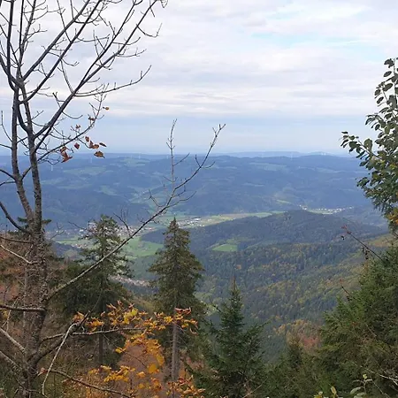 Herzlicht Titisee-Neustadt