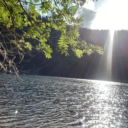 Herzlicht * Titisee-Neustadt
