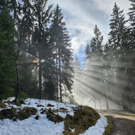 Herzlicht Appartement Titisee-Neustadt