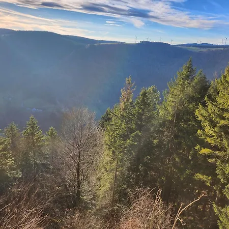 Appartement Herzlicht Titisee-Neustadt