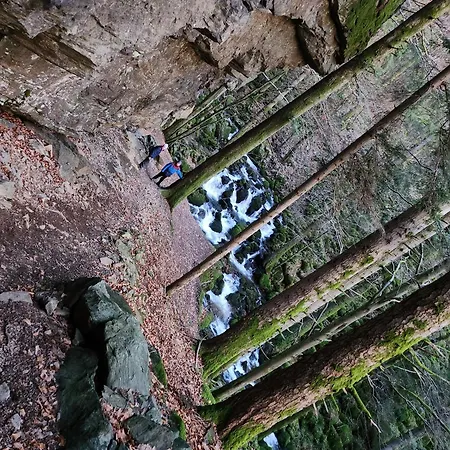 Appartement Herzlicht *